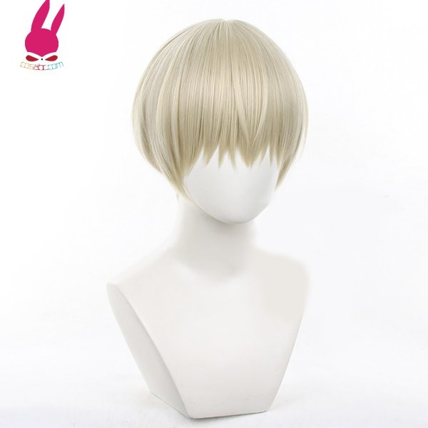 画像2: cosabc WIND BREAKER ウィンドブレーカー 梶蓮 風 コスプレウィッグ かつら コスチューム イベント 変装 仮装 パーティー ハロウィン (2)