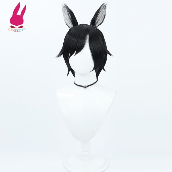 画像3: cosabc ダンジョン飯 イヅツミ 風 コスプレウィッグ かつら コスチューム イベント 変装 仮装 パーティー ハロウィン (3)