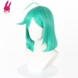 画像2: 魔法少女にあこがれて  姉母ネモ/ルベルブルーメ 風 コスプレウィッグ かつら コスチューム イベント 変装 仮装 パーティー ハロウィン (2)