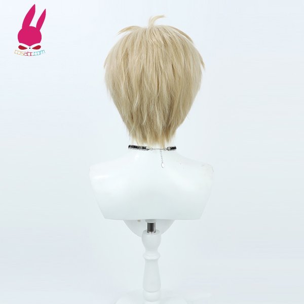 画像4: cosabc ダンジョン飯 ライオス 風 コスプレウィッグ かつら コスチューム イベント 変装 仮装 パーティー ハロウィン (4)