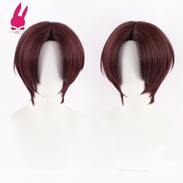 画像4: cosabc WIND BREAKER ウィンドブレイカー 蘇枋隼飛 すおうはやと 風 コスプレウィッグ かつら コスチューム イベント 変装 仮装 パーティー ハロウィン (4)