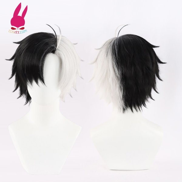 画像4: cosabc WIND BREAKER ウィンドブレイカー 桜遥 さくら はるか 風 コスプレウィッグ かつら コスチューム イベント 変装 仮装 パーティー ハロウィン (4)