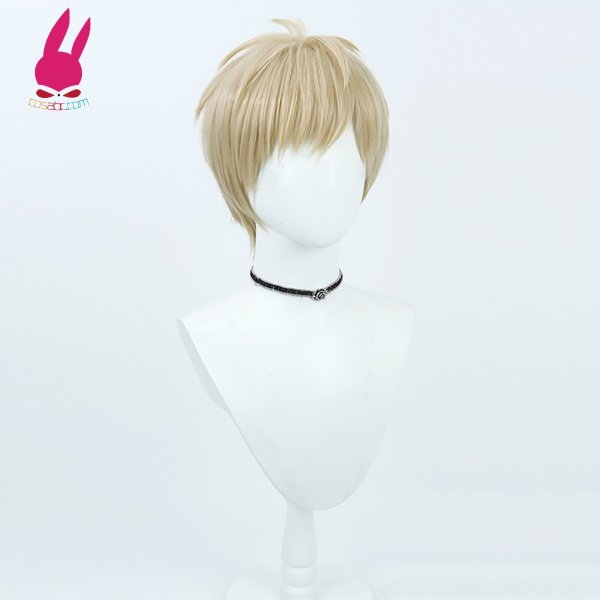 画像2: cosabc ダンジョン飯 ライオス 風 コスプレウィッグ かつら コスチューム イベント 変装 仮装 パーティー ハロウィン (2)