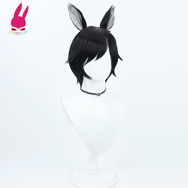 画像2: cosabc ダンジョン飯 イヅツミ 風 コスプレウィッグ かつら コスチューム イベント 変装 仮装 パーティー ハロウィン (2)