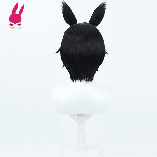 画像4: cosabc ダンジョン飯 イヅツミ 風 コスプレウィッグ かつら コスチューム イベント 変装 仮装 パーティー ハロウィン (4)