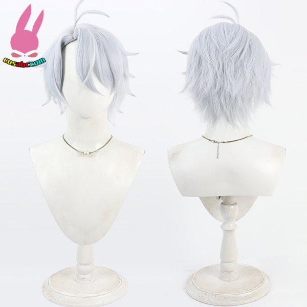 画像5: cosabc 崩壊スターレイル ファイノン 風 コスプレウィッグ かつら コスチューム イベント 変装 仮装 パーティー ハロウィン (5)