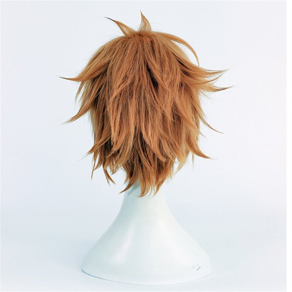 画像5: cosabc 文豪ストレイドッグス 谷崎潤一郎 たにざき じゅんいちろう 風 コスプレウィッグ かつら コスチューム イベント 変装 仮装 パーティー ハロウィン (5)