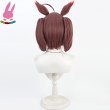 画像5: cosabc ウマ娘 プリティーダービー グランアレグリア 風 コスプレウィッグ かつら コスチューム イベント 変装 仮装 パーティー ハロウィン (5)