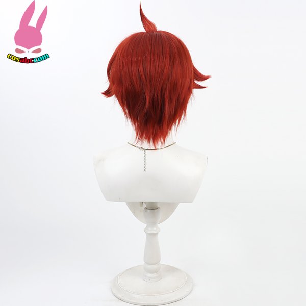 画像4: cosabc わんだふるぷりきゅあ! 兎山悟 とやま さとる 風 コスプレウィッグ かつら コスチューム イベント 変装 仮装 パーティー ハロウィン (4)