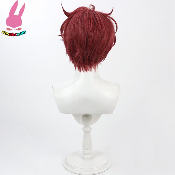 画像5: cosabc あんさんぶるスターズ! nice哥 風 コスプレウィッグ かつら コスチューム イベント 変装 仮装 パーティー ハロウィン (5)