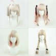 画像1: cosabc にじさんじ　魔界ノりりむ   風 コスプレウィッグ かつら コスチューム イベント 変装 仮装 パーティー ハロウィン (1)