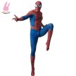 画像3: トニー　　スパイダーマン 全身タイツ 着ぐるみ ステージ衣装 弾力と伸縮性あり コスチューム コスプレ衣装　ハロウイン仮装 ハロウインコス (3)