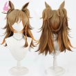 画像1: cosabc ウマ娘プリティーダービー　ブラストワンピース 風 コスプレウィッグ かつら コスチューム イベント 変装 仮装 パーティー ハロウィン (1)