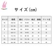 画像4: cosabcSilent Witchサイレント・ウィッチ 沈黙の魔女の隠しごと モニカ エヴァレット風 コスプレ衣装 イベント 演出服 二次会 コスチューム パーティー ハロウィン (4)