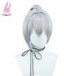 画像2: cosabc崩壊：スターレイル 銀狼 Silver Wolf風 コスプレウィッグ かつら コスチューム イベント 変装 仮装 パーティー ハロウィン (2)